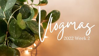 Denim + Rain | Vlogmas Week 2 | Knitting Podcast | Knitting Vlogmas | 2022