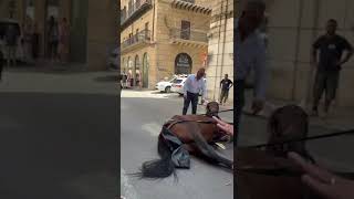 Palermo ancora un volta un cavallo che traina carrozza cade distrutto a terra