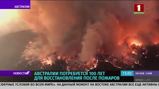 Сколько лет понадобится Австралии для восстановления после пожаров?