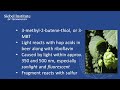 Lightstruck - Beer sensory characteristics, causes and control factors