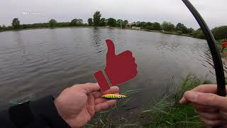 Trout Area Forellenangeln Ultralight Fishing Mefo Blinker Nories Spoon Forellensee Brockenlande