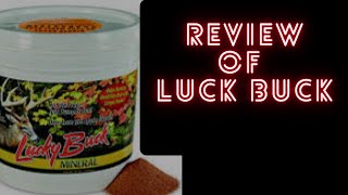 Lucky Buck Review