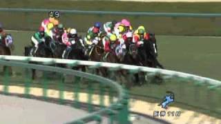 20110227阪神11R阪急杯.wmv