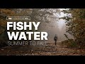 Fishy Water: Summer to Fall -- Where, When and How to Catch Trout in the Seasonal Transition