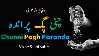Poetry Chunni Pagh Paranda by saeed aslam ( punjabi shayari ) punjabi poetry whatsapp status video