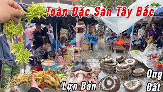 Chợ phiên Bắc Hà dân xuống bán dược liệu đông như trẩy hội - đồ rừng bày bán la liệt !