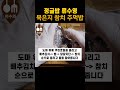 정글밥 류수영 묵은지 참치 주먹밥 묵은지 참치 김밥 묵은지 참치 말이 참치 묵은지 주먹밥 tuna and kimchi riceball junglebob shorts