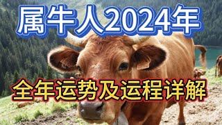 属牛人2024年全年运势及运程详解