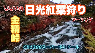 【バイク】GGの日光紅葉狩りツーリング　金精峠【CB1300スーパーボルドール】Insta360oneX2