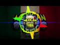 MEXICAN TRIBE RMX  [VIVA MEXICO] DJ MASTER BEAT