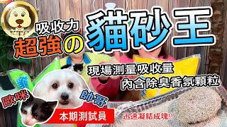 🐶🐱菓子姐姐寵物篇：開箱 貓界好用貓砂【貓砂王】凝結力超 用量省 球砂 細砂 粗砂