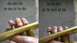 Las Mañanitas Tapatías en la trompeta.