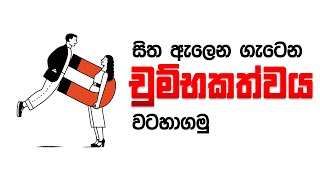 The Way of Polarized Mind ඇලෙන ගැටෙන චුම්බකත්වය