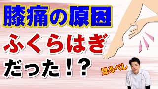 【たった1分】膝痛の原因はふくらはぎ？！簡単マッサージ方法｜石川県ハレバランス整体院