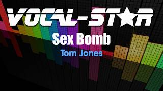 Tom Jones - Sex Bomb (Karaoke Version) with Lyrics HD Vocal-Star Karaoke