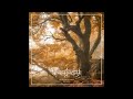 Waldgeflüster - The Pit (Panopticon cover)