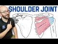 Anatomy of the Shoulder Joint | Bones, Ligaments, and Muscles