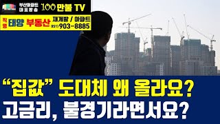 백만불TV] 부산부동산 - 폭락하던 집값이 상승하는 이유.. 고금리에도, 경기불황에도 집값이 오르는 이유는 무엇일까?