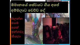 thanapathi karyalaya oman ඕමාන් සේවයට ගිය අපේ අම්මලාට වෙච්ච දේ