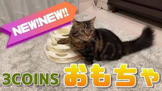 【3coins】また新しいおもちゃを買ってしまった・・・【マンチカンのアーサー】