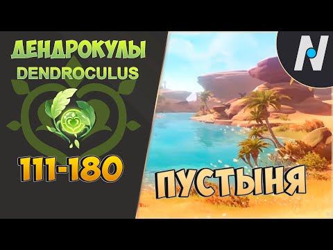 ВСЕ ДЕНДРОКУЛЫ — Часть 2. ЛУЧШИЙ МАРШРУТ СБОРА GENSHIN IMPACT