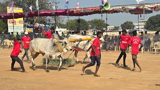 2teeth  1st 🏆 Winner NSR Bull's in Rentachinthala