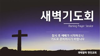 2024 11 29 새벽기도회 유병안 목사 (LIVE)