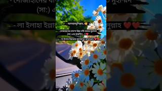 কমেন্ট বক্সে আলহামদুলিল্লাহ দেখতে চাই#islamic #alhamdulillah  #shorts #youtubeshorts