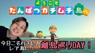 【どうぶつの森配信】今日こそ行きたいレア島に！離島巡りDAYです！！たんぱつガチムチ島での生活356日目の前髪系