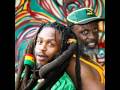 alborosie & steel pulse-steppin out