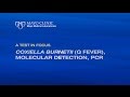 A Test in Focus: Coxiella burnetii (Q Fever), Molecular Detection, PCR