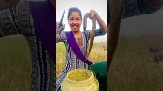 সাপ ধরলাম আজকে আমি😧 #youtubeshorts #minivlog #viralvideo #funny #shorts #village #snake #fish