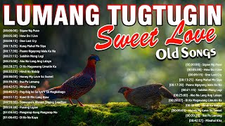 Mga Lumang Kanta Stress Reliever OPM Tagalog Love Songs 80's 90's OPM Chill Songs 💗