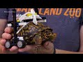 maryland zoo made a lego wheelchair for an injured turtle