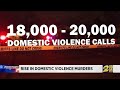 Rise in domestic violence murders