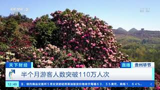 [天下财经]贵州：百里杜鹃进入盛花期| CCTV财经