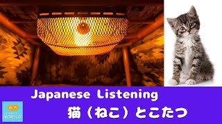 🎧Beginner - Japanese Listening -「猫とこたつ」