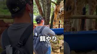 １００頭の猛獣に餌やり！怖すぎるでしょ！inケニア【お金持ちの付き人】【TikTok】