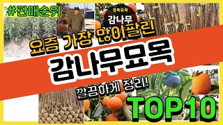 감나무묘목 추천 판매순위 Top10 || 가격 평점 후기 비교