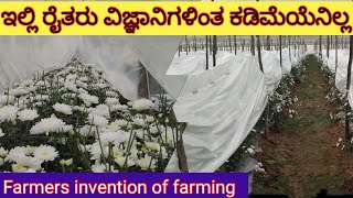 ಸೇವಂತಿ ಕೃಷಿಯಲ್ಲಿ ಇವರ ಐಡಿಯಾ💡🔥 New method of chrysanthemum farming Ideas