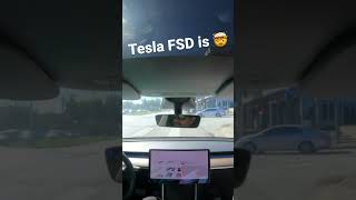 Tesla FSD is 🤯 Elon Musk is KILLING IT