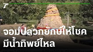 จอมปลวกยักษ์ให้โชค มีน้ำทิพย์ไหล | 24-01-66 | ตะลอนข่าว