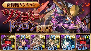 ツクヨミドラゴン降臨を編成難易度低めパで攻略【パズドラ】