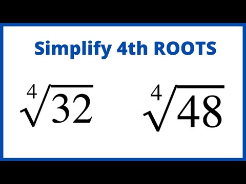 What is the 4th root called?