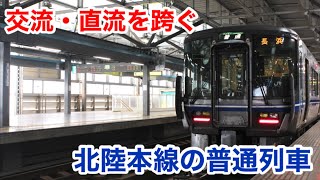 【交直流区間を跨ぐ】福井発長浜行きに乗ってきた