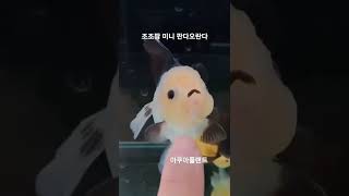 금붕어를 키우는 이유 #아쿠아플랜트 #수족관 #금붕어