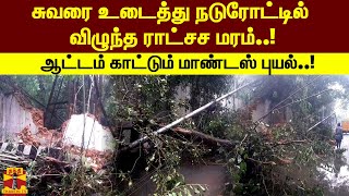 சுவரை உடைத்து நடுரோட்டில் விழுந்த ராட்சச மரம்..! ஆட்டம் காட்டும் மாண்டஸ் புயல்