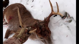 2022 WISCONSIN GUN OPENER