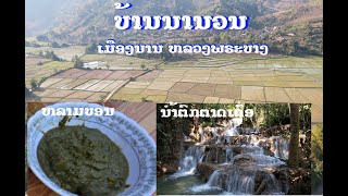 ບ້ານນານວນ ເມືອງນານ ຫລວງພະບາງ