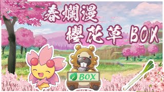 《櫻花草Box牌組》春爛漫！邪惡小人時代來臨！｜ＰＴＣＧ牌組介紹【勿以類俱TCG】